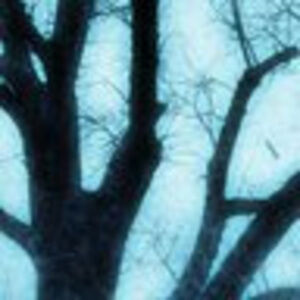 Meet your Posher, Alevtina